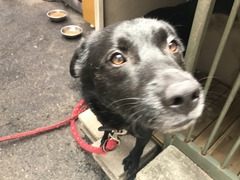 5CD4FC9F-F49D-4785-B888-EEACA3014F71