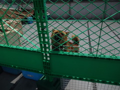 DSC07946