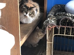 BA91F514-A6B8-4ADC-A236-8A235FCF65A8