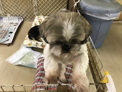 7462B4F2-C8AD-44D6-AE61-2EDFD5F19CD9