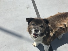 A5B3AEBC-6FFE-4BBC-93DA-BC55F5191CB8