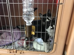 7128E8DD-7EED-42F5-BEBB-28C5F8588626