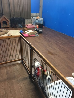 CD11B420-2D0E-4369-B59D-BB744D47E238