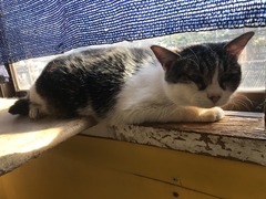 5B720C73-6228-45C5-A562-6E41D817335D