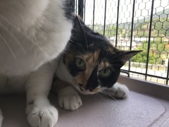 1E9A61ED-CF2D-415B-BC8D-5C53F6161596