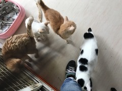 8387848E-6B12-49C8-B85B-0D9A4E38CF63