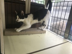 47A8FB9C-BCAF-4ACB-B245-917CF2B6B180