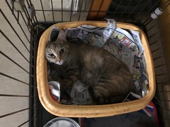 96BC40CB-EA22-4D17-8C5C-94430D640165