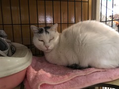 D614CCA7-B4AE-463B-8AB5-1F76078ED0EA