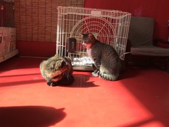 08E031E0-C47F-49BA-9EF4-00EF7565AA28