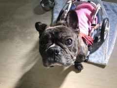 505137CD-CCC5-49C5-A5C3-AD99C3938662