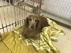 A8698CB5-8931-4DA3-ABED-183E62D880A1