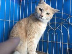 22ADD103-9BE8-4B52-BDB0-551DC907B9CD