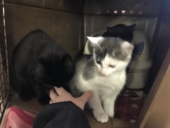 9AC31844-7239-4E32-A4FB-9152BEAFD36B