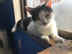 DE50EAD1-B96F-4862-9111-ABAD1F369BDD