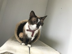 2ED8954E-0BBE-4D57-B7AE-6ABE588789D1