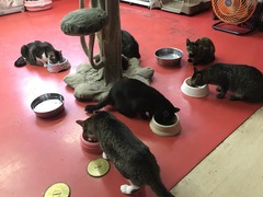 8CE137BB-F5E7-4D8C-A215-BE36E73C9706