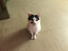 9E3EDC69-A47A-42F2-8B9C-E794A030A545