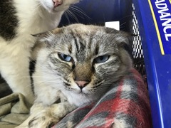 0B374993-DD21-407E-B745-573CEFAAD2C0