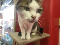 01C94147-9E5C-4285-ACD6-1B1F66AA091C