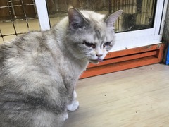 EFFAFFDD-9597-4495-8237-57A371F6E1F1