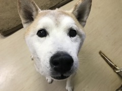 C454DA2A-E3D1-40F7-BAB1-04C0BE9A9A92