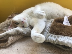 CEC4F845-20DA-4384-8D2B-B403A765AEDF