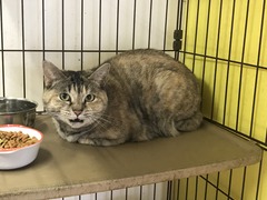 C87059FD-C339-401E-9A70-83C1E25683D0