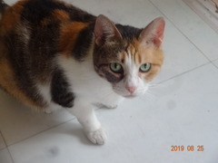 DSC06149