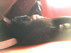 CD7B7FD7-33E5-4090-92D3-459CB09A6E69