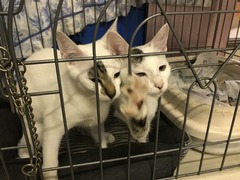 8A6FC11F-DDEA-4B96-AEB5-D8AA8E816B53