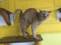 360FA833-9CF3-49ED-849C-84F5FEF14127