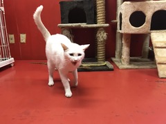 473A285C-9ACA-44BA-9307-17C19F65DF97