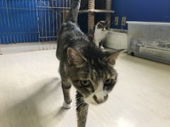 BB62D4B3-F2D9-42E1-88C6-17C4ABFAEF2C