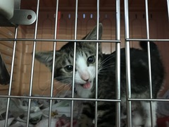 71FB32B3-7ED5-4631-9AA7-7B14E3CB74A0