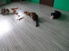 DSC08121