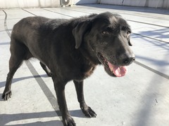 D98C602E-45DC-401B-A03E-8412FD0193A3