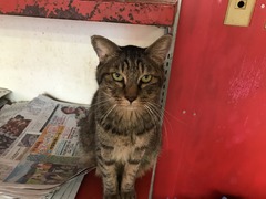 D6DBC08F-A72F-47ED-9D7F-731D0648C062