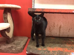 743BB48A-F744-4305-A4F1-7670E5B85346