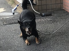 E2C2D0B4-D18C-4261-9CCC-0F740BBBFA80