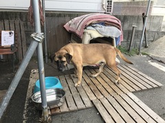 513E1CBB-CD37-4CDC-93A0-B9495351E5F7