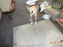 DSC06946