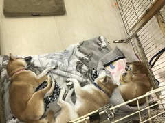 F6A8B842-E185-43FD-8EBE-5A07C1904D7A