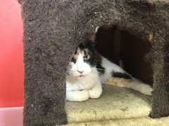 80160822-3786-4A8F-B897-7C0DFBA4BA15