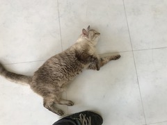 849C6BB3-BF10-40BD-A18B-72EB694E1C14