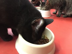 1901A503-63FF-4186-B6A4-D3AC3CBD0A44