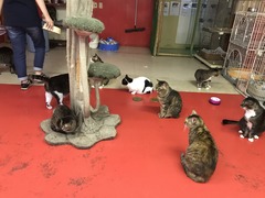 C203AD15-2A9A-486C-B9D4-830A3B17A692