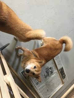 1398B716-4CD7-4467-B0A5-B7A6CB89D585