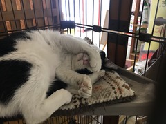 5F1036AD-9BA8-46CF-B8BD-F2A796582582