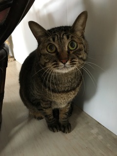 D428F3C9-1CD1-4CF1-9877-228E600A8D55